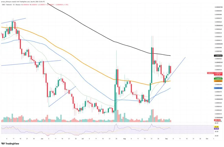 +103% in Shiba Inu (SHIB) Most Crucial Metric in 24 Hours: Can It Save the Day?