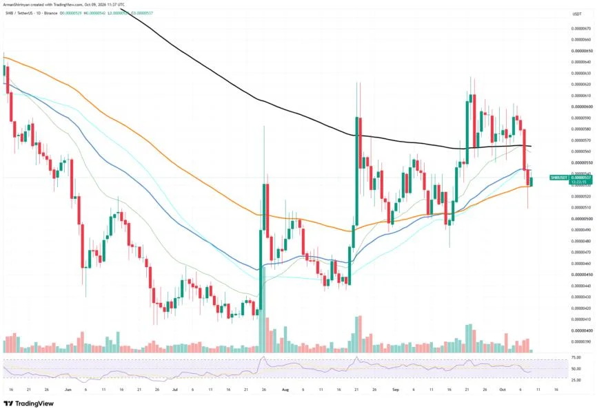 +1.34 Billion Shiba Inu (SHIB) in 24 Hours: What's Behind the Fresh Volume?