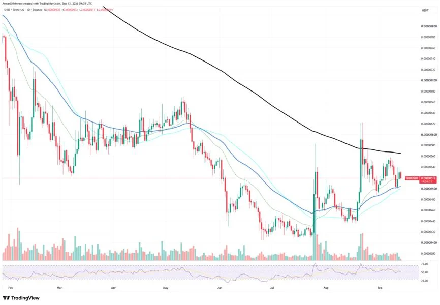42% Shiba Inu (SHIB) On-Chain Increase Is Not Yet Bullish: Explaining Why