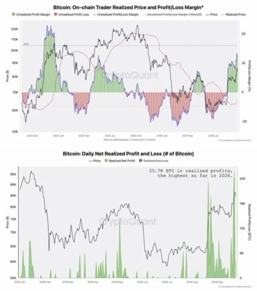 [Analysis] Bitcoin Unrealized Profit Margin Hits 20-Month High, Raising Correction Risk