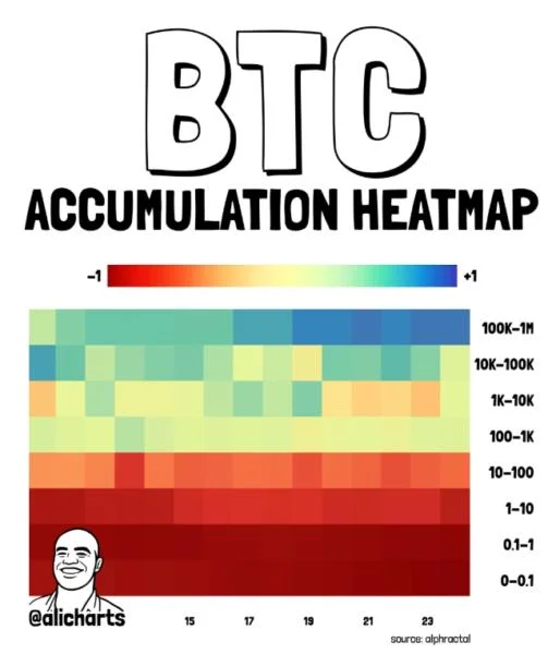 Bitcoin Price Holds $73K as Whales Accumulate — Is $100K the Next Target?