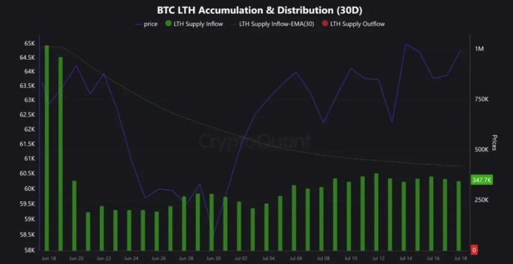 Bitcoin Price Rally Intact? Long-Term Holder Data Suggests So