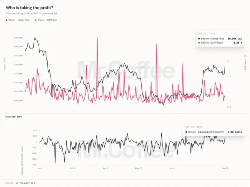 Bitcoin Price Rebound Shows Short-Term Holders Taking Profit
