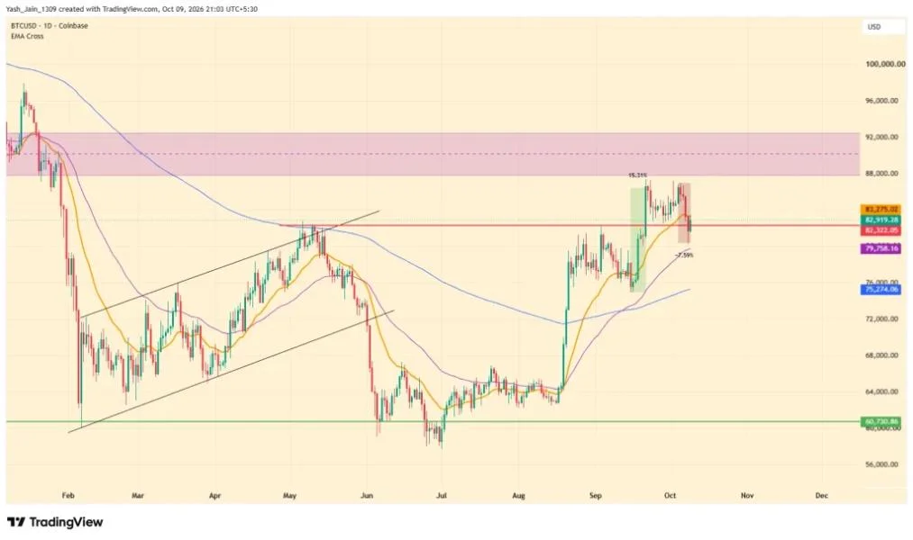 Bitcoin Realized Profit Data Challenges Capitulation Claims
