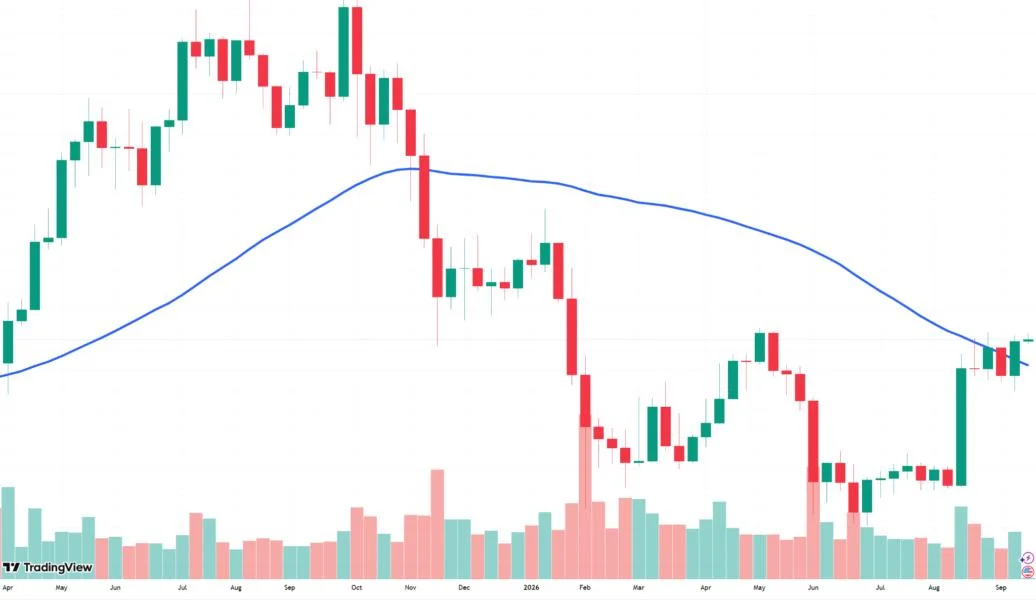 Bitcoin reclaims 50-week moving average as analysts eye end of bear market