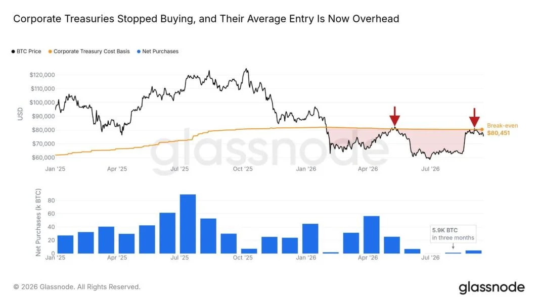 Bitcoin treasuries buy just 5.9K BTC in three months as paper losses linger