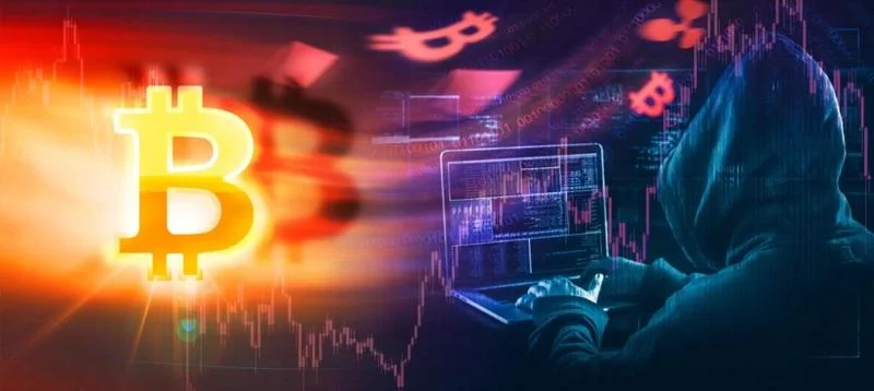 Canton Network’s Q3 2026 Fees Top $155 Million, Highest Among Compared Blockchains
