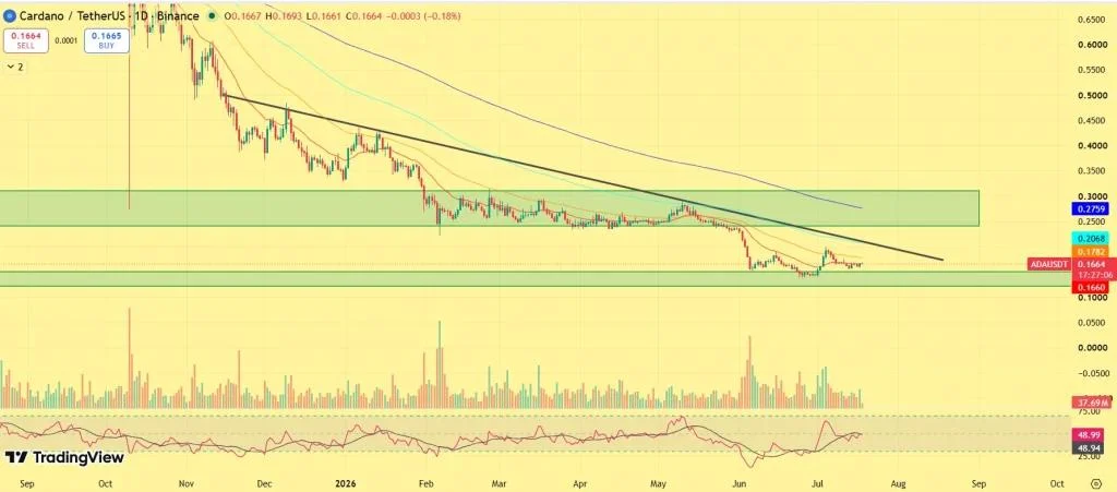 Cardano Price Rises 5%—Are Whales Preparing for a Bigger Rally?