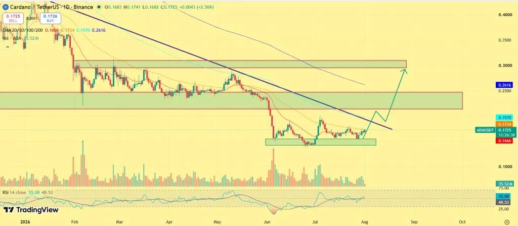 Cardano Price Surges 6%—Can Whale Accumulation Push ADA to $0.30?