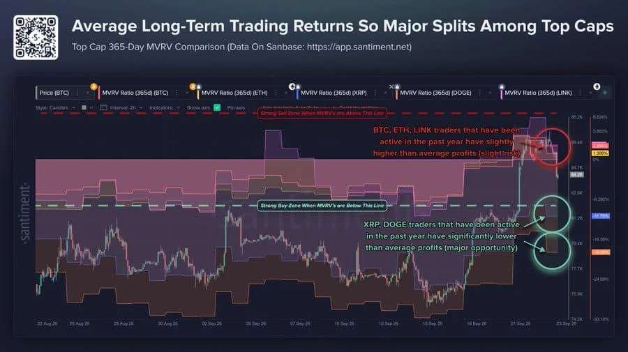 Crypto News Today: XRP, Dogecoin Signal Long-Term MVRV Discounts as Bitcoin Holds $82.5K Neckline