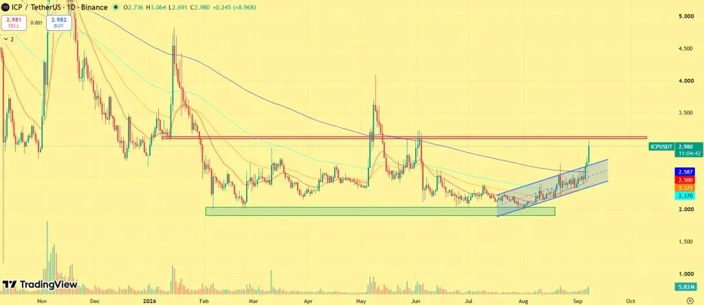 ICP Price Rallies 13%— Here’s Where the Rally Could Go