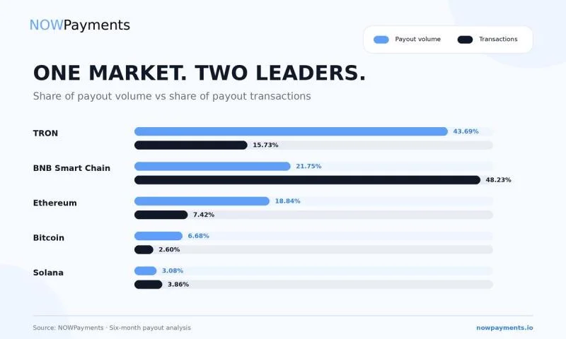 NOWPayments Releases Cross-Chain Payout Data Revealing Key Performance Benchmarks Across TRON, BNB Chain, and Solana