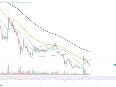 -1.2 Billion Shiba Inu (SHIB) Burned in 24 Hours Is Not Bullish Enough