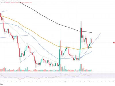 +103% in Shiba Inu (SHIB) Most Crucial Metric in 24 Hours: Can It Save the Day?