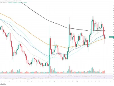 +1.34 Billion Shiba Inu (SHIB) in 24 Hours: What's Behind the Fresh Volume?