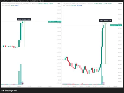 2 Altcoins Just Got Wall Street's Stamp of Approval: What Happens Next?