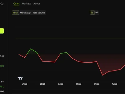 20-Year Tech Veteran Spent 15,000 Hours Trying to Kill Bitcoin, What Did He Find?