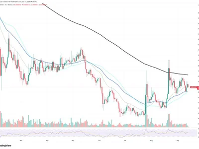 42% Shiba Inu (SHIB) On-Chain Increase Is Not Yet Bullish: Explaining Why