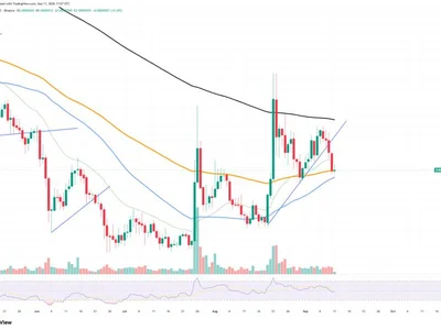 +463 Billion Shiba Inu in 24 Hours: Can Bulls Save SHIB's Price?