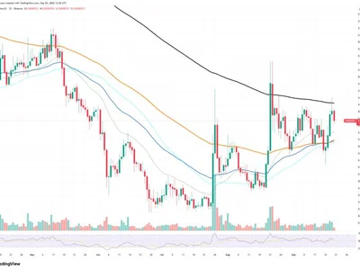 835 Million Shiba Inu (SHIB) Hits Exchanges in 24 Hours: Inflows Break Key Barrier