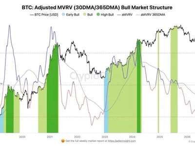 [Analysis] Bitcoin Enters Bull Market, On-Chain Indicators Show