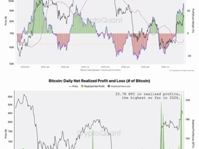[Analysis] Bitcoin Unrealized Profit Margin Hits 20-Month High, Raising Correction Risk