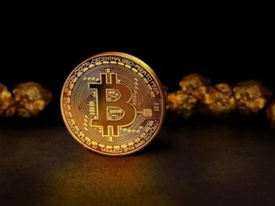 Ark Invest Says U.S. Spot Bitcoin ETF Investors Returned to Profit in September