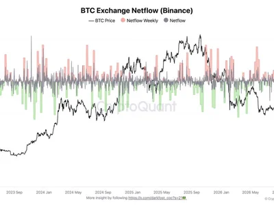 Binance BTC outflows hit highest since mid-2023 as whales deposit stablecoins