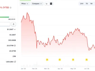 Bitcoin Is a ‘Deep Freeze’ for Money. What Does That Actually Mean?