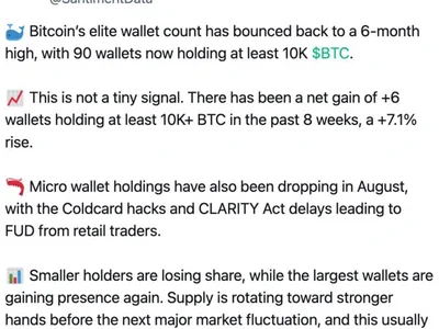 Bitcoin Mega-Whale Wallets Surge To 6-Month High As Big Buyers Hold $64K Support