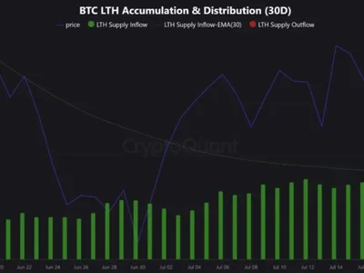 Bitcoin Price Rally Intact? Long-Term Holder Data Suggests So