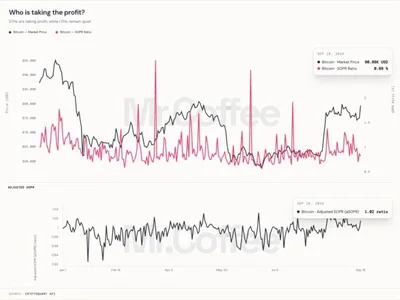 Bitcoin Price Rebound Shows Short-Term Holders Taking Profit