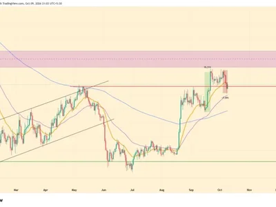 Bitcoin Realized Profit Data Challenges Capitulation Claims