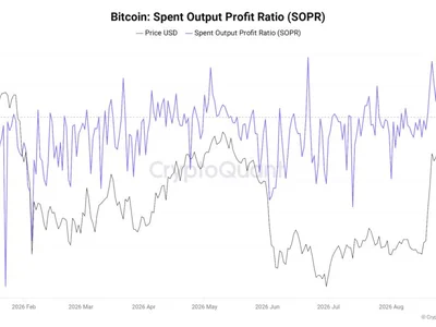 Bitcoin SOPR metric sees longest profit run of 2026 as new analysis challenges bear market