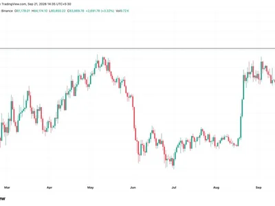 Bitcoin Tops $84,000 for the First Time Since January, Liquidating $262 Million in Shorts