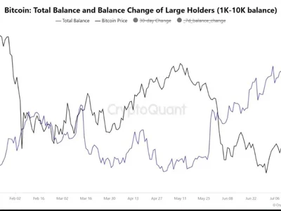 Bitcoin Whales Defy Volatility, Quietly Accumulate BTC at 17% Discount