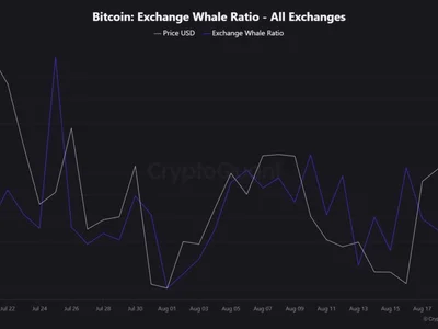 Bitcoin Whales Just Went on a Buying Spree Worth Billions—Are ‘Conviction Buyers’ Calling the Bottom?