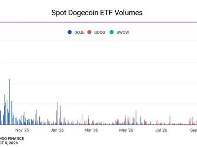 Bitwise CEO says ‘tragic’ Dogecoin ETF failure shows gap between ETF buyers and crypto-app users