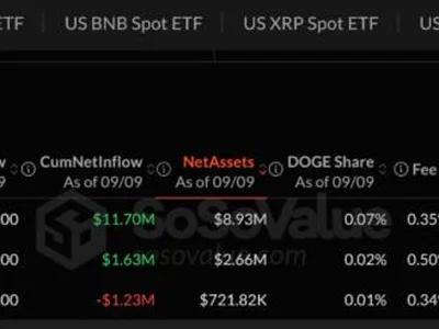 Bitwise Dogecoin ETF Shuts Down With $722,000 Left: Will Rival Funds Follow?