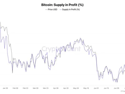 BTC supply in profit eyes 60%, but analysis hints recovery may ‘roll back over’