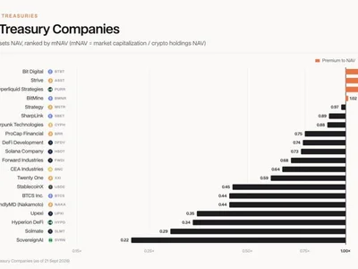 Buy the Coin or the Crypto Treasury Stock? DWF Ventures Has a Verdict