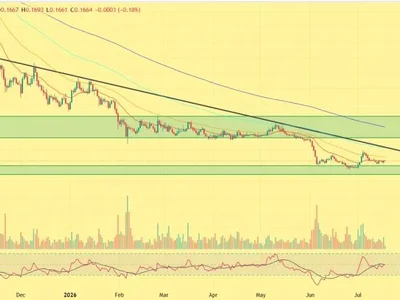 Cardano Price Rises 5%—Are Whales Preparing for a Bigger Rally?