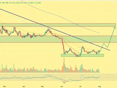 Cardano Price Surges 6%—Can Whale Accumulation Push ADA to $0.30?