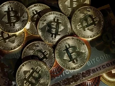 Corporate Bitcoin Holdings Rise by 193,000 This Year as Retail Investors Cut 93,000