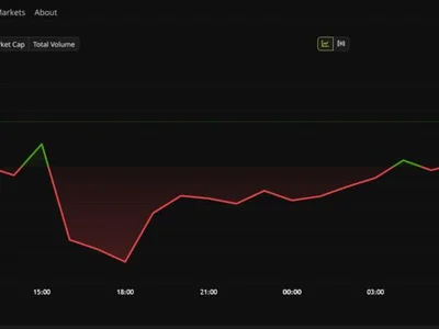 Dark Web Founder Loses $100 Million in Bitcoin After 40-Year Sentence: Where Does It Go?
