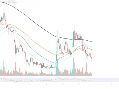Dogecoin (DOGE) Adds 30% in Trading Volume in 24 Hours as Spot Inflows Cross 1,000% Mark