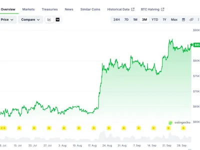 Frank Cappelleri Explains 3 Reasons Bitcoin Is Primed for a Bigger Bullish Move