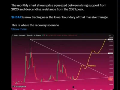 Hedera (HBAR) Price Analysis as Long-Term Compression Tests Support