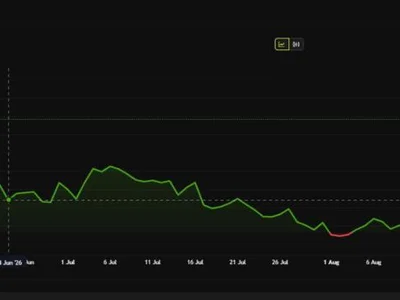 Hyperliquid Season 3 Airdrop Wait Fuels a Meme Coin Machi Big Brother Promotes