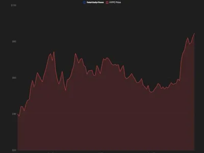 Hyperliquid seeks US foothold through Kraken parent Payward in crypto perpetuals deal: Bloomberg